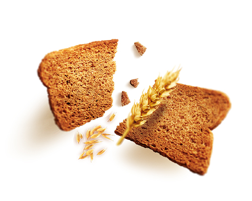 Melba toast volkoren